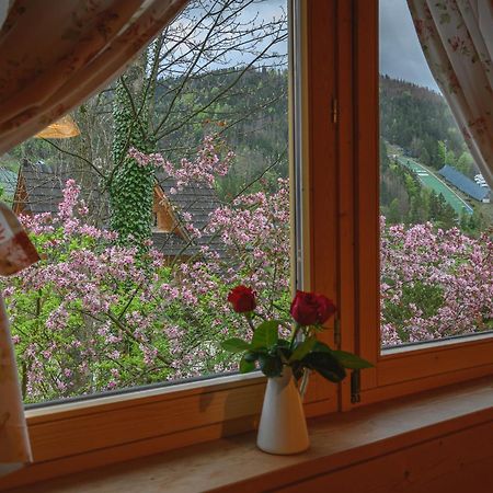 Regionalny Domek Pod Skocznia Zakopane Ngoại thất bức ảnh