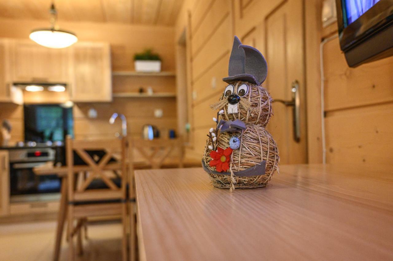 Regionalny Domek Pod Skocznia Zakopane Ngoại thất bức ảnh